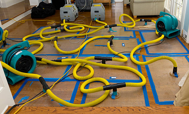 Professional Basement Flood Cleanup technician working in McLain, MS