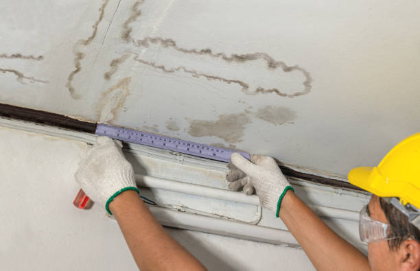 Affordable Water Damage Repair solutions in McLain, MS